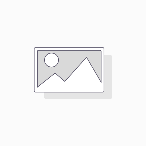 Anand's Lakshmi Incense(6pktsx20)Sticks