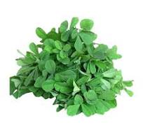 Fresh Methi Leaves pcs