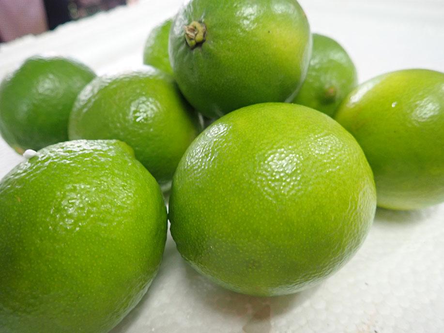 Fresh Lemon pcs