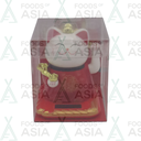 Golden Turtle Solar Lucky Cat 1st