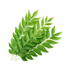 Fresh Curry Leaves 50g
