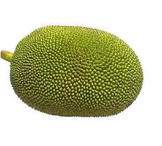 Fresh Green Jackfruit 800g