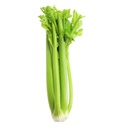 Fresh Celery