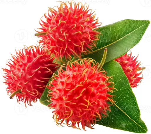 Fresh Nephelium lappaceum 1kg