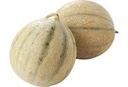 Fresh Melon Charentais pcs