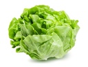 Fresh Head Lettuce pcs