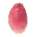Fresh Prickly Pear 1pcs