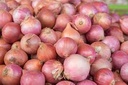 Fresh Onion Indian 250g