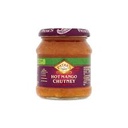 Patak's Chutney Mango Hot 340g
